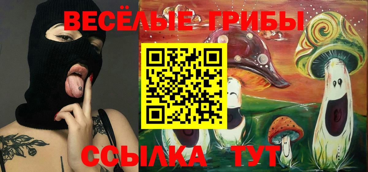 Янаул  Псилоцибиновые грибы ЛСД  Вход с VPN 